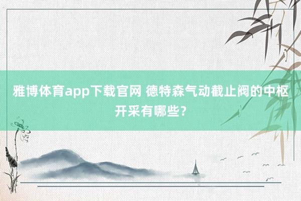 雅博体育app下载官网 德特森气动截止阀的中枢开采有哪些？