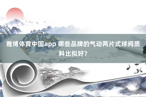 雅博体育中国app 哪些品牌的气动两片式球阀质料比拟好？
