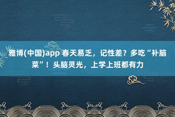 雅博(中国)app 春天易乏，记性差？多吃“补脑菜”！头脑灵光，上学上班都有力