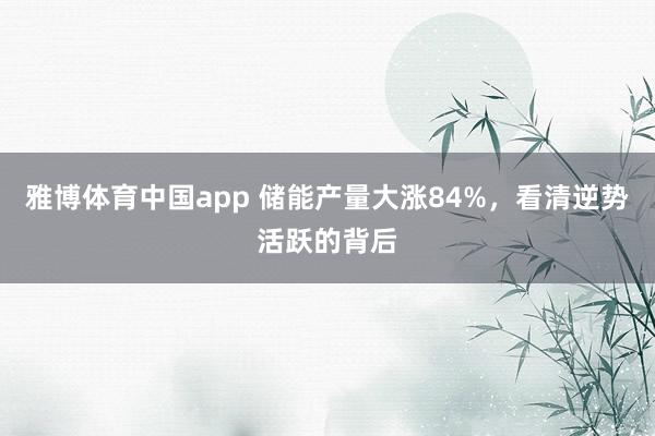 雅博体育中国app 储能产量大涨84%，看清逆势活跃的背后