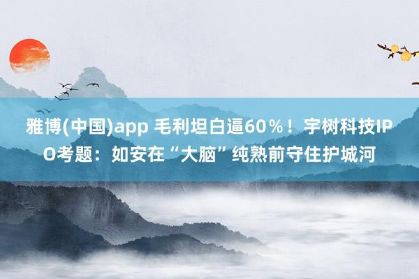 雅博(中国)app 毛利坦白逼60％！宇树科技IPO考题：如安在“大脑”纯熟前守住护城河