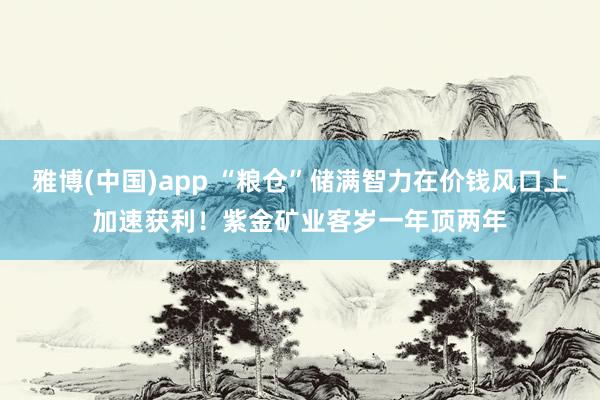雅博(中国)app “粮仓”储满智力在价钱风口上加速获利！紫金矿业客岁一年顶两年