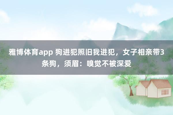 雅博体育app 狗进犯照旧我进犯，女子相亲带3条狗，须眉：嗅觉不被深爱