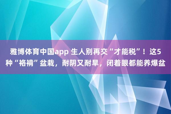 雅博体育中国app 生人别再交“才能税”！这5种“袼褙”盆栽，耐阴又耐旱，闭着眼都能养爆盆