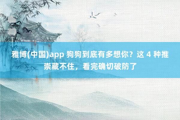 雅博(中国)app 狗狗到底有多想你？这 4 种推崇藏不住，看完确切破防了