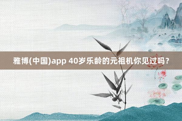 雅博(中国)app 40岁乐龄的元祖机你见过吗？