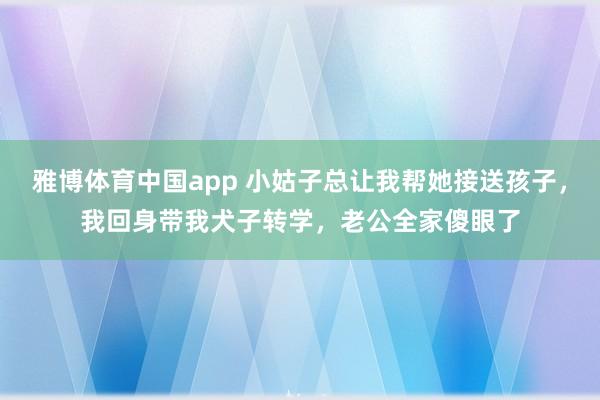 雅博体育中国app 小姑子总让我帮她接送孩子，我回身带我犬子转学，老公全家傻眼了