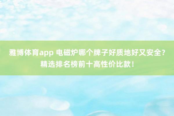 雅博体育app 电磁炉哪个牌子好质地好又安全？精选排名榜前十高性价比款！