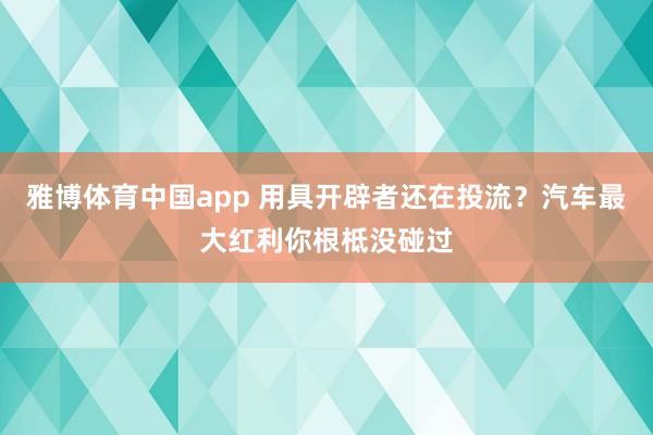 雅博体育中国app 用具开辟者还在投流？汽车最大红利你根柢没碰过