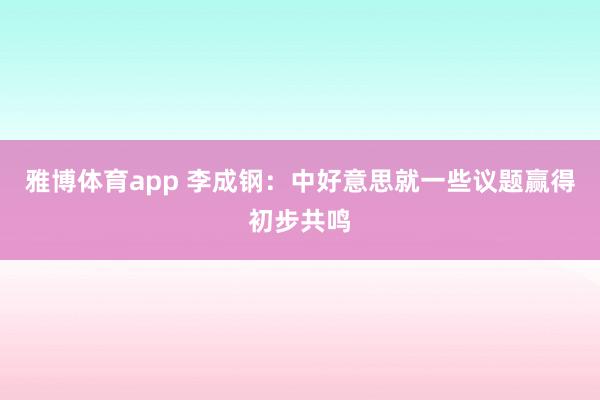 雅博体育app 李成钢：中好意思就一些议题赢得初步共鸣