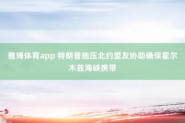 雅博体育app 特朗普施压北约盟友协助确保霍尔木兹海峡携带
