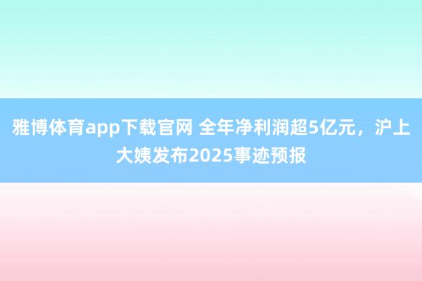 雅博体育app下载官网 全年净利润超5亿元，沪上大姨发布2025事迹预报