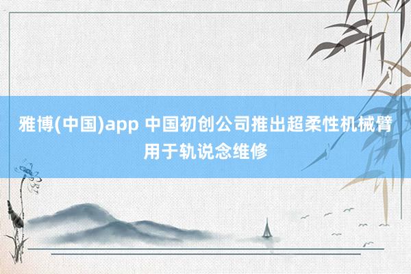 雅博(中国)app 中国初创公司推出超柔性机械臂用于轨说念维修