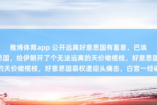 雅博体育app 公开远离好意思国有蓄意，巴埃土沙4国联手硬刚好意思国，给伊朗开了个无法远离的天价橄榄枝，好意思国霸权遭迎头痛击，白宫一经破防