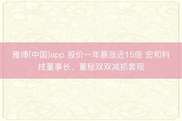 雅博(中国)app 股价一年暴涨近15倍 宏和科技董事长、董秘双双减抓套现
