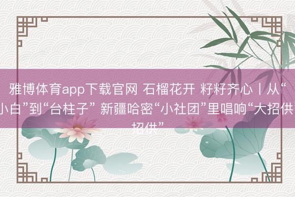 雅博体育app下载官网 石榴花开 籽籽齐心丨从“小白”到“台柱子” 新疆哈密“小社团”里唱响“大招供”