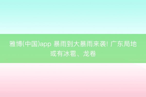 雅博(中国)app 暴雨到大暴雨来袭! 广东局地或有冰雹、龙卷
