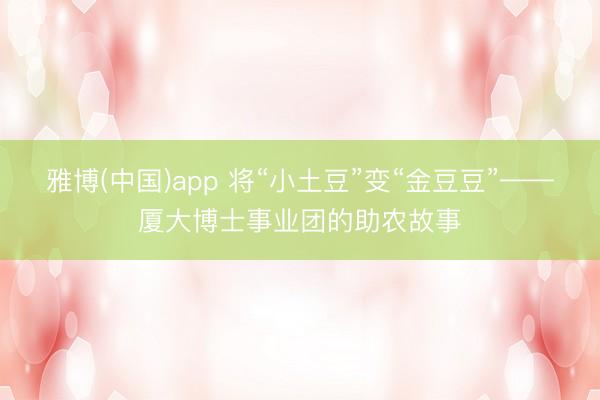 雅博(中国)app 将“小土豆”变“金豆豆”——厦大博士事业团的助农故事