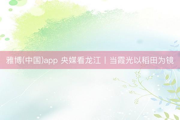 雅博(中国)app 央媒看龙江丨当霞光以稻田为镜