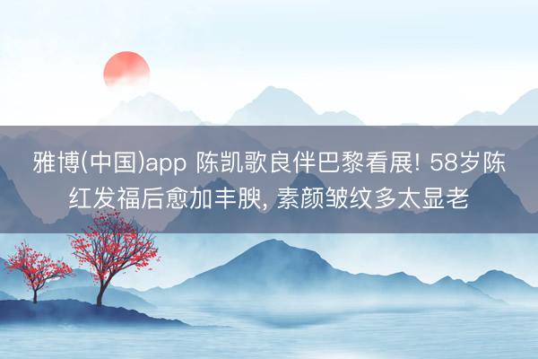 雅博(中国)app 陈凯歌良伴巴黎看展! 58岁陈红发福后愈加丰腴，<a href=
