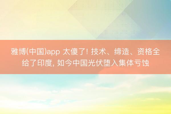 雅博(中国)app 太傻了! 技术、缔造、资格全给了印度， 如今中国光伏堕入集体亏蚀