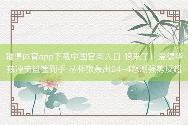 雅博体育app下载中国官网入口 狼来了！爱德华兹冲击篮筐到手 丛林狼轰出24-4怒潮强势反超