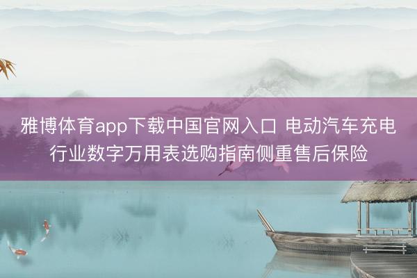 雅博体育app下载中国官网入口 电动汽车充电行业数字万用表选购指南侧重售后保险