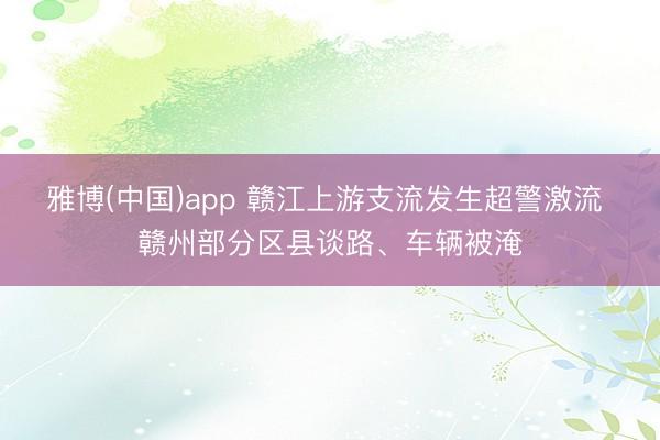 雅博(中国)app 赣江上游支流发生超警激流 赣州部分区县谈路、车辆被淹
