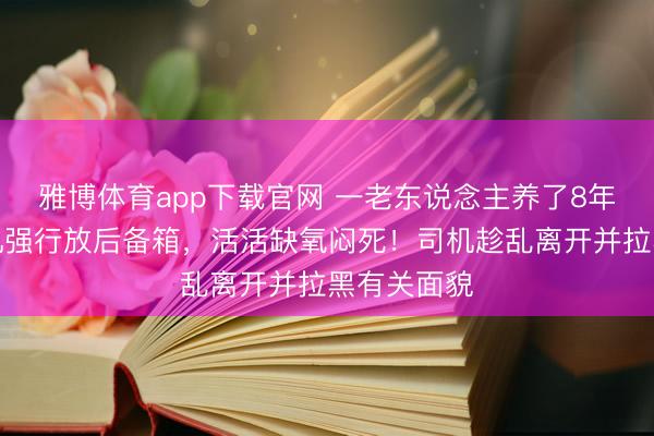 雅博体育app下载官网 一老东说念主养了8年的猫被司机强行放后备箱，活活缺氧闷死！司机趁乱离开并拉黑有关面貌