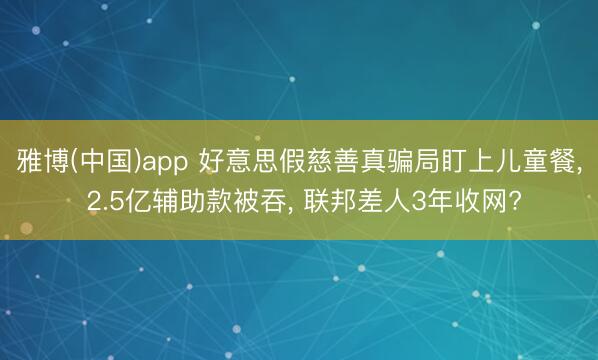 雅博(中国)app 好意思假慈善真骗局盯上儿童餐， 2.5亿辅助款被吞， 联邦差人3年收网?