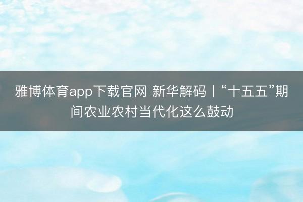 雅博体育app下载官网 新华解码丨“十五五”期间农业农村当代化这么鼓动