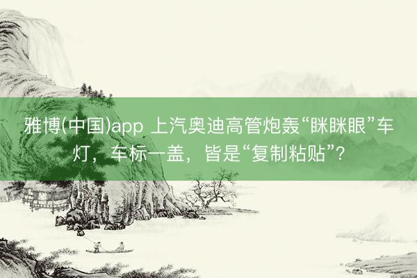雅博(中国)app 上汽奥迪高管炮轰“眯眯眼”车灯，车标一盖，皆是“复制粘贴”？