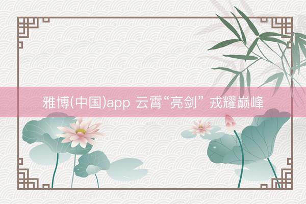 雅博(中国)app 云霄“亮剑” 戎耀巅峰