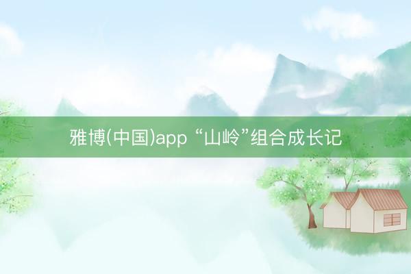 雅博(中国)app “山岭”组合成长记