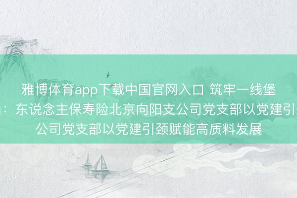 雅博体育app下载中国官网入口 筑牢一线堡垒融业惠民显担当:东说念主保寿险北京向阳支公司党支部以党建引颈赋能高质料发展
