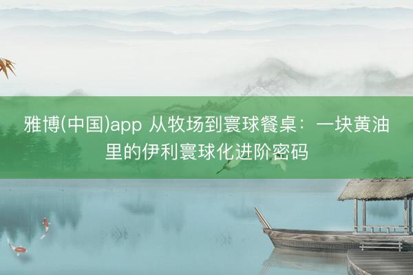雅博(中国)app 从牧场到寰球餐桌：一块黄油里的伊利寰球化进阶密码