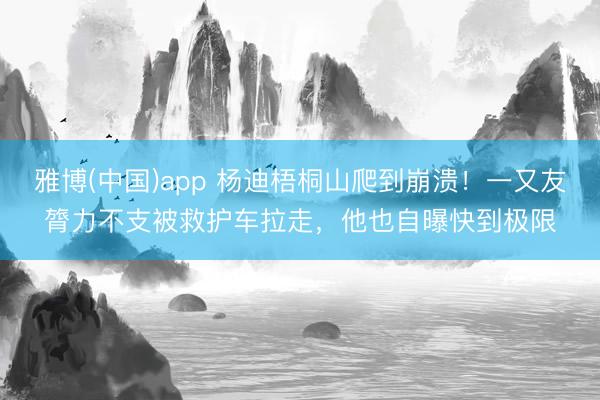 雅博(中国)app 杨迪梧桐山爬到崩溃！一又友膂力不支被救护车拉走，他也自曝快到极限