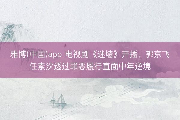 雅博(中国)app 电视剧《迷墙》开播，郭京飞任素汐透过罪恶履行直面中年逆境