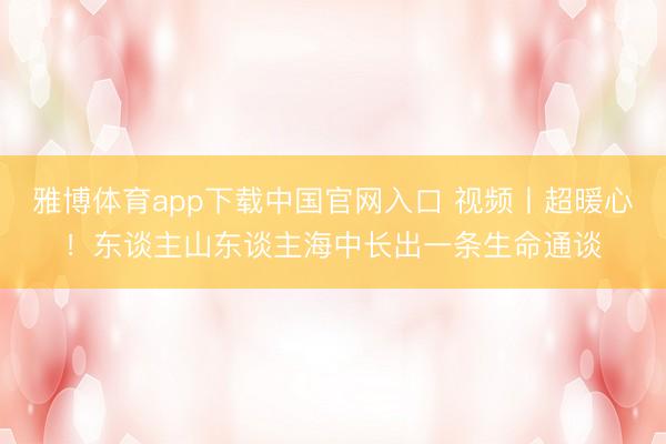雅博体育app下载中国官网入口 视频丨超暖心!东谈主山东谈主海中长出一条生命通谈