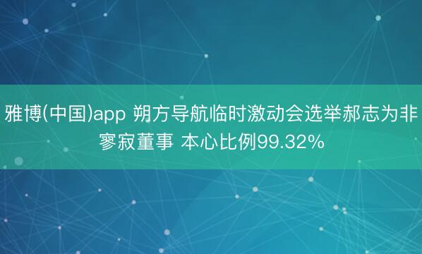 雅博(中国)app 朔方导航临时激动会选举郝志为非寥寂董事 本心比例99.32%