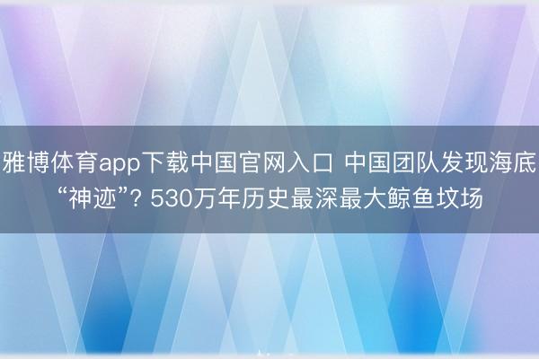 雅博体育app下载中国官网入口 中国团队发现海底“神迹”? 530万年历史最深最大鲸鱼坟场