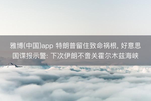 雅博(中国)app 特朗普留住致命祸根， 好意思国谍报示警: 下次伊朗不啻关霍尔木兹海峡