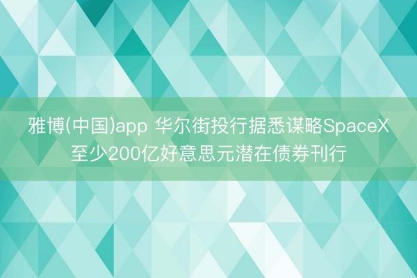 雅博(中国)app 华尔街投行据悉谋略SpaceX至少200亿好意思元潜在债券刊行
